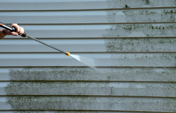 Best Attic Mold Removal  in Frazier Park, CA