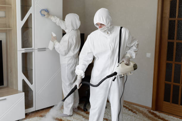Best Commercial Mold Removal  in Frazier Park, CA