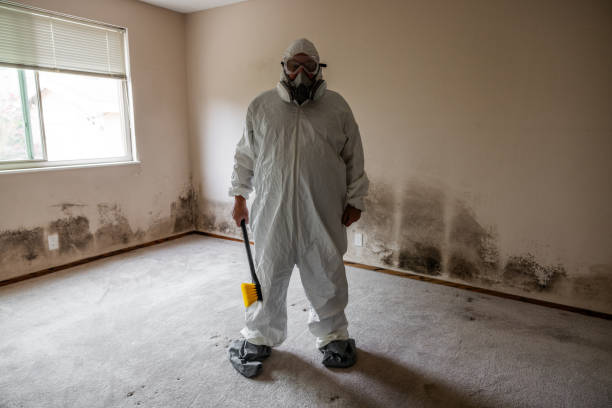 Office Mold Removal Services in Frazier Park, CA